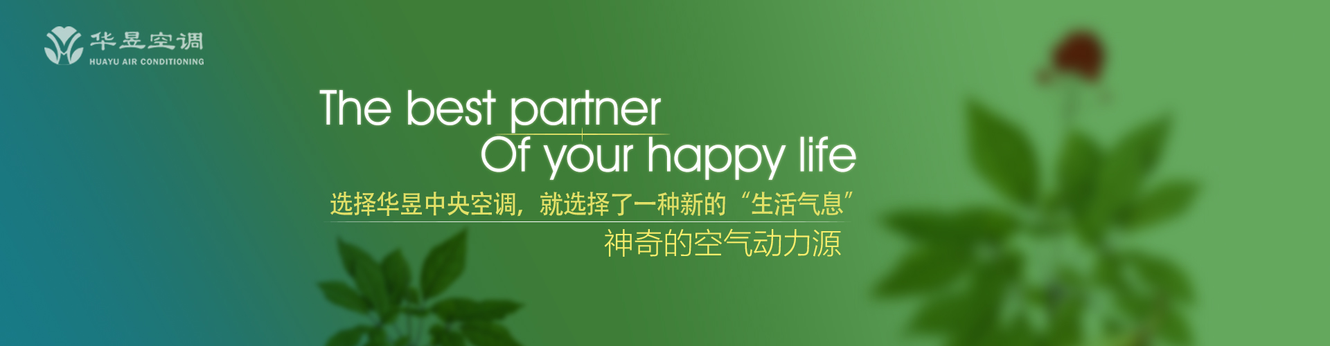 王贡弹冠网
